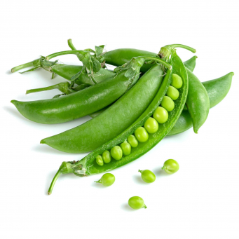 Vegetables